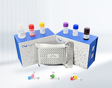 人elisa試劑盒 人白介素6(IL-6)試劑盒